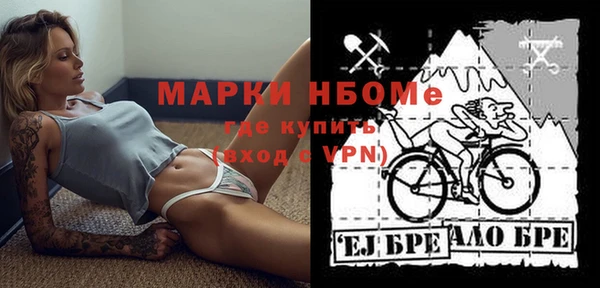 стафф Надым