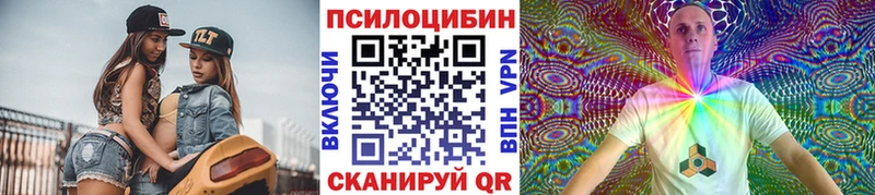 Галлюциногенные грибы GOLDEN TEACHER  что такое наркотик  Новое Девяткино 